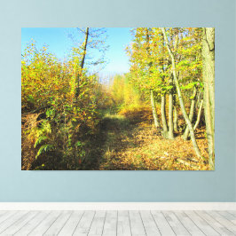 Solbelyst Skogen på hösten - Canvastryck