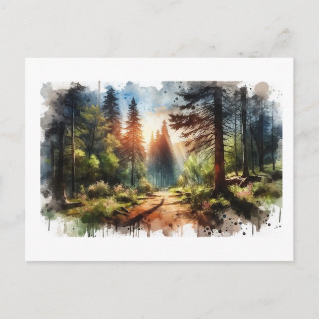 Solbelyst skogsväg,  vykort (Framsida)