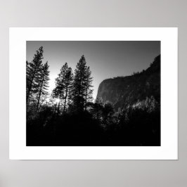 Solbelyst Träd Yosemite Black and White Photograph Poster
