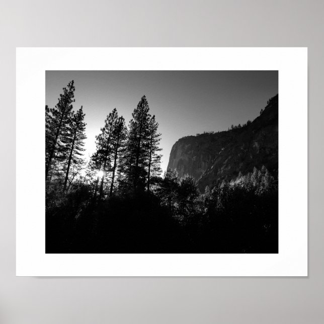Solbelyst Träd Yosemite Black and White Photograph Poster (Framsidan)