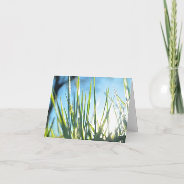 Solbelysta blad kort (Framsida)