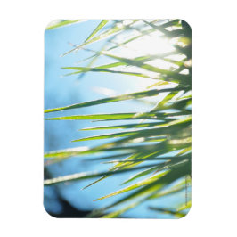 Solbelysta blad magnet