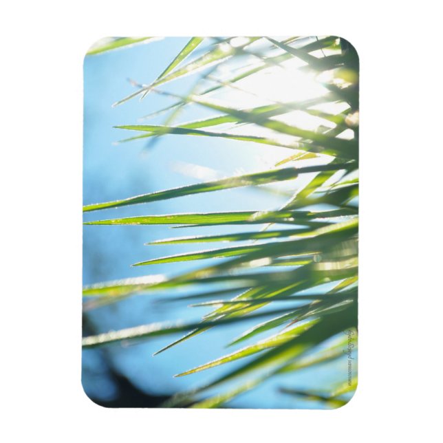 Solbelysta blad magnet (Vertikal)