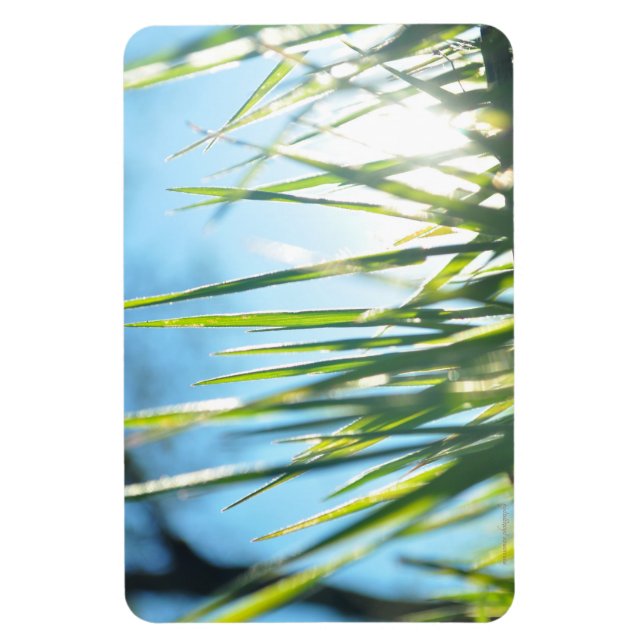 Solbelysta blad magnet (Vertikal)