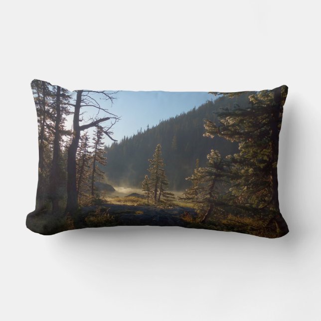 Solbelysta Frostiga Tallar vid Dream Lake Lumbarkudde (Framsida)