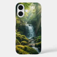 Solbelysta skogsbränder