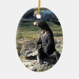 Solbjörn på zooen julgransprydnad keramik