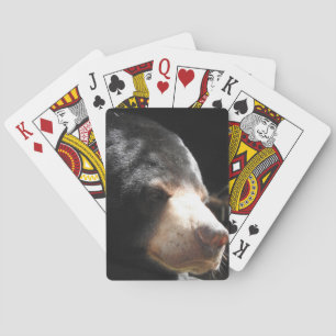 Solbjörn som leker kort casinokort