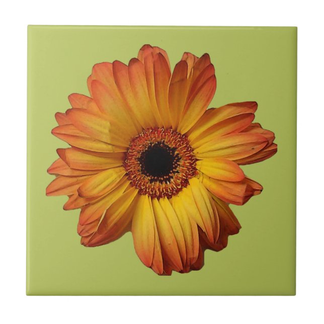 Solblomma av Orange gerbera Kakelplatta (Framsidan)