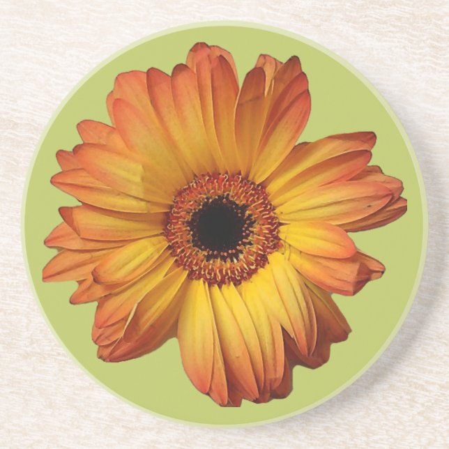 Solblomma av Orange gerbera Underlägg (Framsidan)