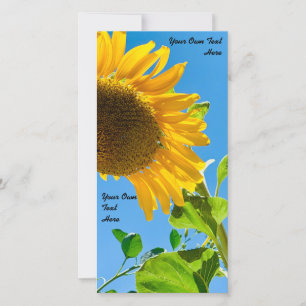 Solblomma bröllopsinbjudan