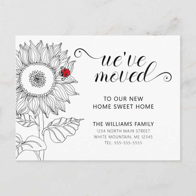 Solblomma med nyckelpiga som rör sig meddelande vykort (Framsida)