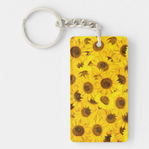 Solblommor
