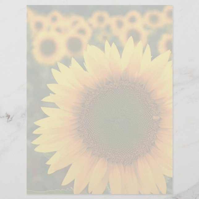 Solblommor 2 (Framsida)
