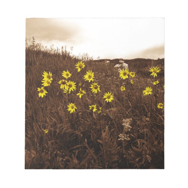 Solblommor Anteckningsblock (Framsida)