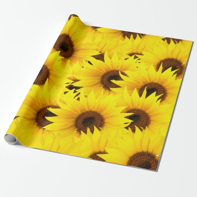 Solblommor, bakgrund presentpapper (Utrullad)