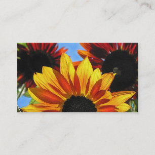 Solblommor, Blommigt Visitkort