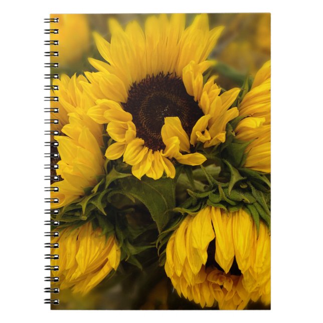 Solblommor Blur bärbar dator Anteckningsbok (Framsidan)