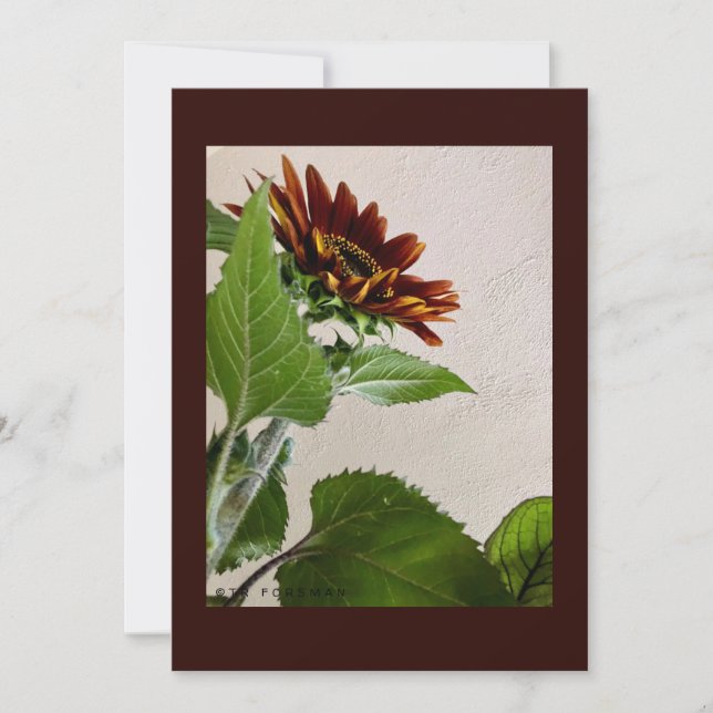 Solblommor, enkelt anteckningskort för handskrivet inbjudningar (Framsida)