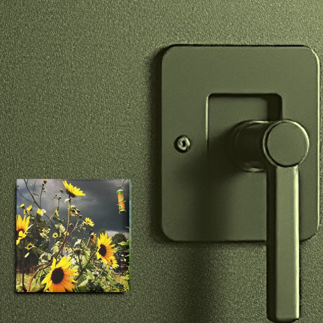 Solblommor före stormmolnet Fotografi Magnet (2" square sunflower magnet)