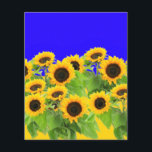 Solblommor - Frihet Ukraina, fred, Ukraina Flagga Flygblad<br><div class="desc">Solblommor - Frihet Ukraina Fred Ukrainas Flagga - Stödja oberoende tillsammans - Seger! Låt oss världen till ett bättre ställe - alla tillsammans! En bättre värld börjar - beroende - behöver du också! Du kan överföra till 1 000 Zazzle-produkter. Ändra storlek och flytta eller ta bort och lägg till inslag/text...</div>