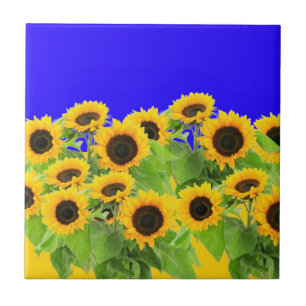 Solblommor - Frihet Ukraina, fred, Ukraina Flagga  Kakelplatta