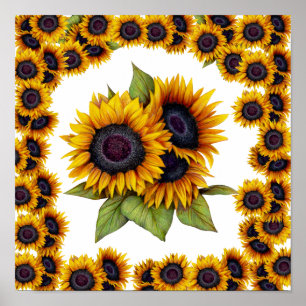 Solblommor gräns poster