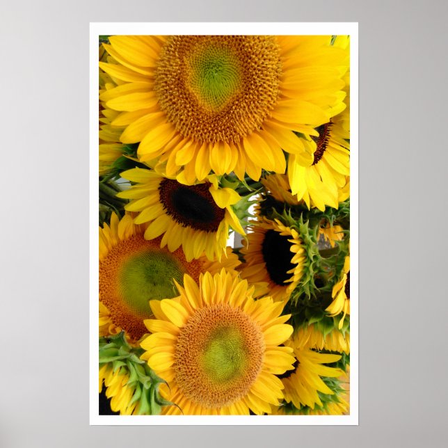 Solblommor Gult Bunch of Happity Poster (Framsidan)