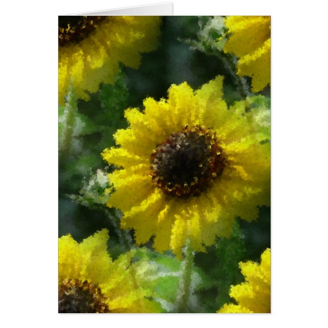 Solblommor Hälsningskort (Framsidan)