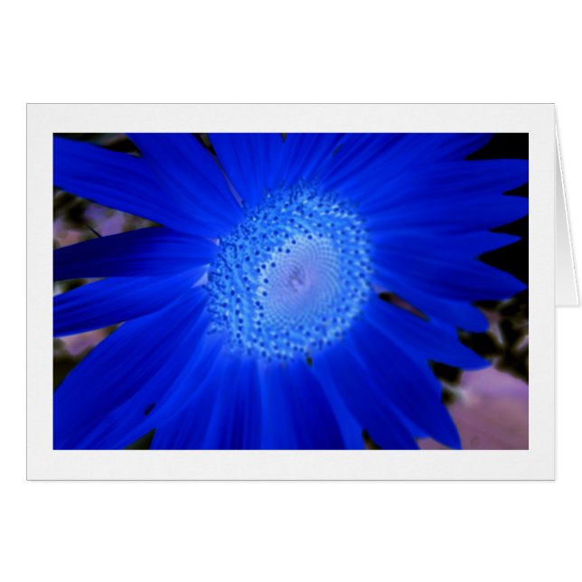 Solblommor Hälsningskort (Framsidan Horizontal)