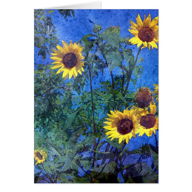 Solblommor Hälsningskort (Framsidan)