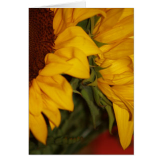 Solblommor Hälsningskort