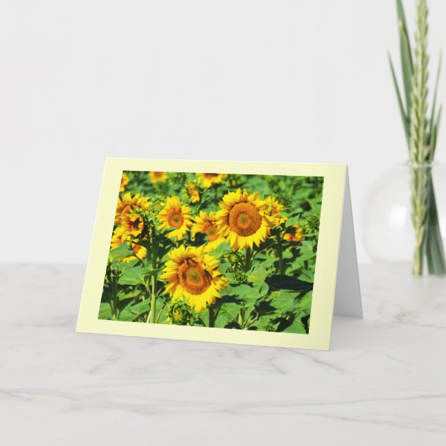 Solblommor Helgkort (Framsida)