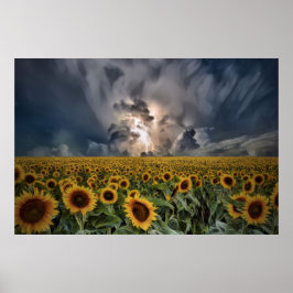 Solblommor i en storm poster
