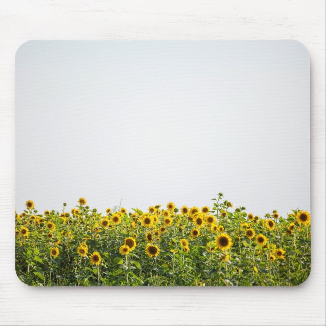 Solblommor i Fält Musmatta (Framsidan)