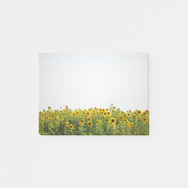 Solblommor i Fält Post-it Block (Framsida)