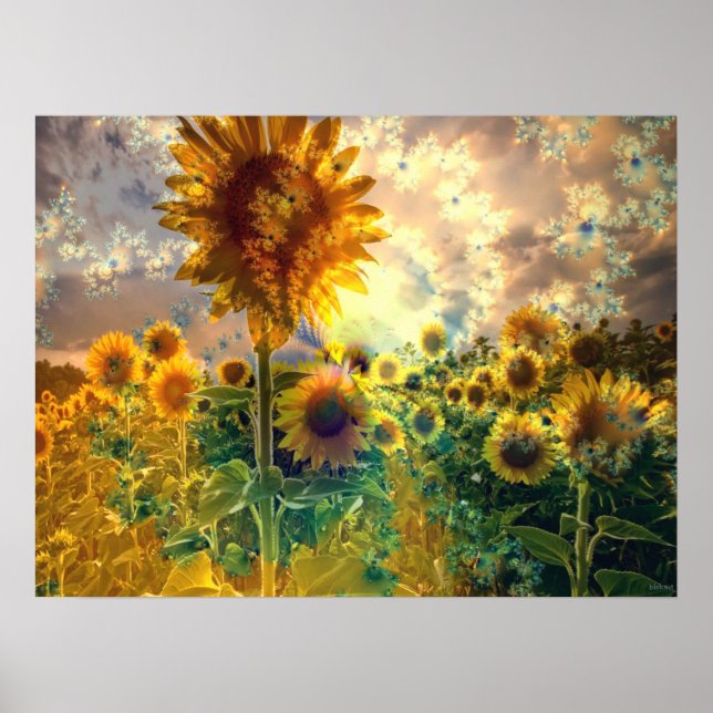 Solblommor i Fält - Poster (Framsidan)