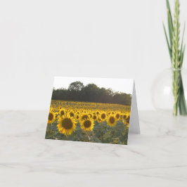 Solblommor i Frankrike Helgkort
