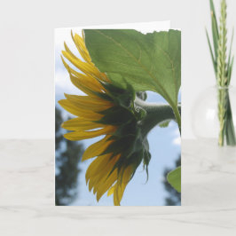 Solblommor i Frankrike Helgkort