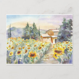 Solblommor i Provence Vykort