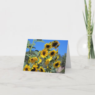 Solblommor i sol och en klar blå himmel anteckningskort