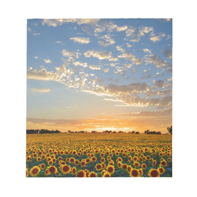 Solblommor i Sunset Anteckningsblock (Framsida)