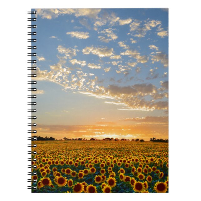 Solblommor i Sunset Anteckningsbok (Framsidan)