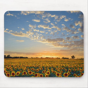 Solblommor i Sunset Musmatta