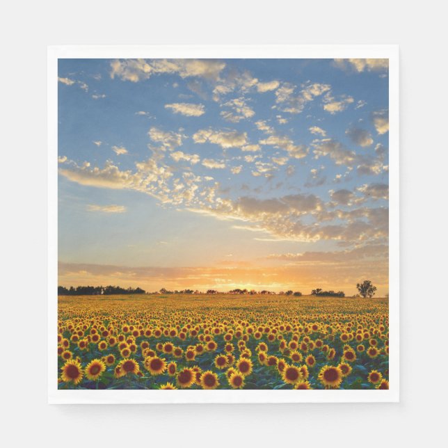 Solblommor i Sunset Pappersservett (Framsidan)