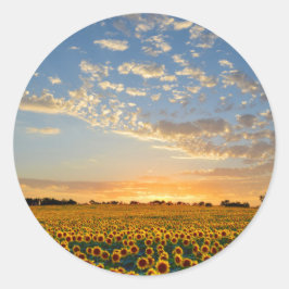 Solblommor i Sunset Runt Klistermärke