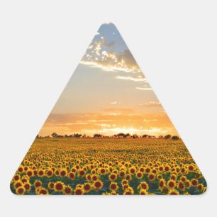 Solblommor i Sunset Triangelformat Klistermärke