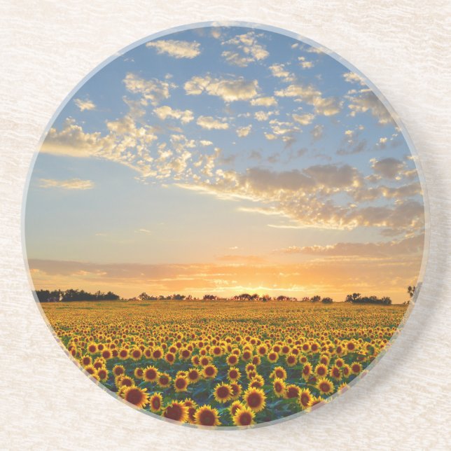 Solblommor i Sunset Underlägg (Framsidan)
