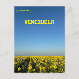 Solblommor i Turen Portuguesa Venezuela Vykort