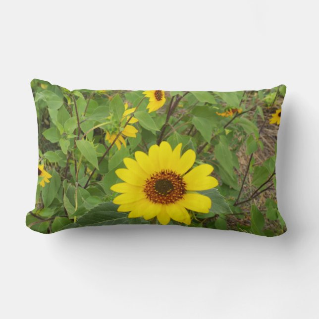 Solblommor i Vinden, Lumbar Cushion. Lumbarkudde (Framsida)
